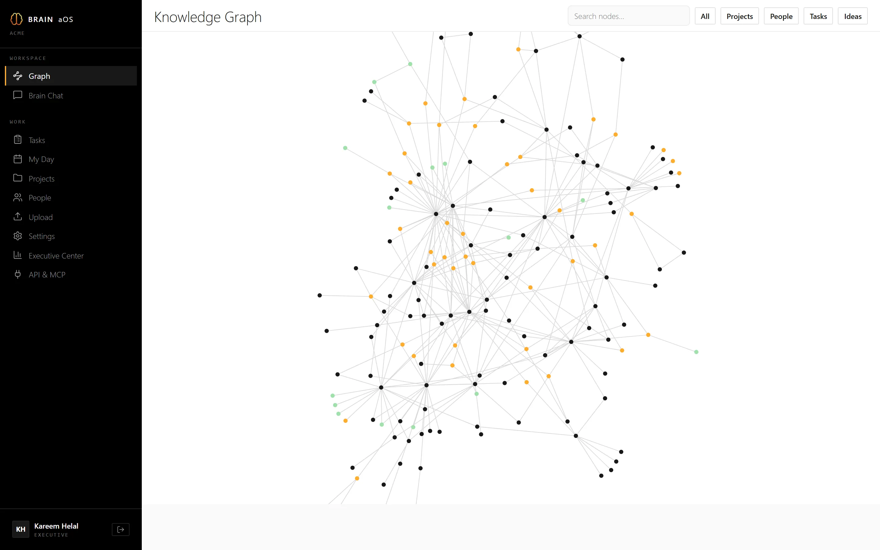 The Brain workspace: cognitive graph with full navigation sidebar